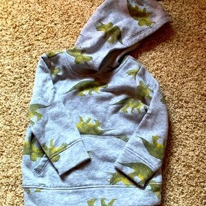 Dinosaur sweatshirt